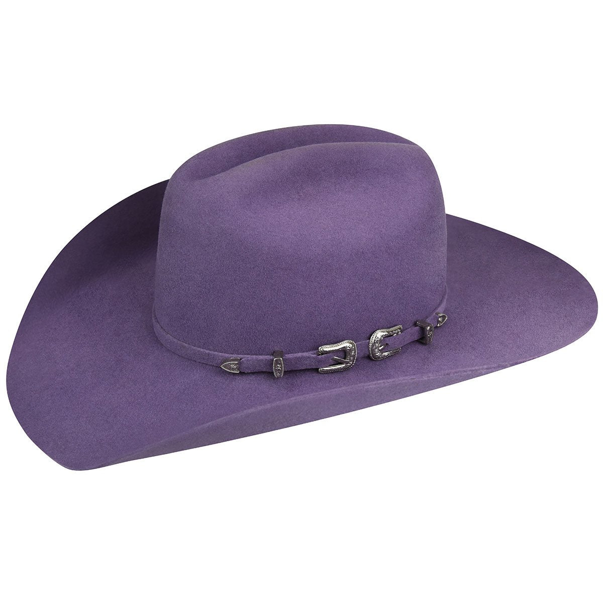 Bailey Western Renegade Punchy