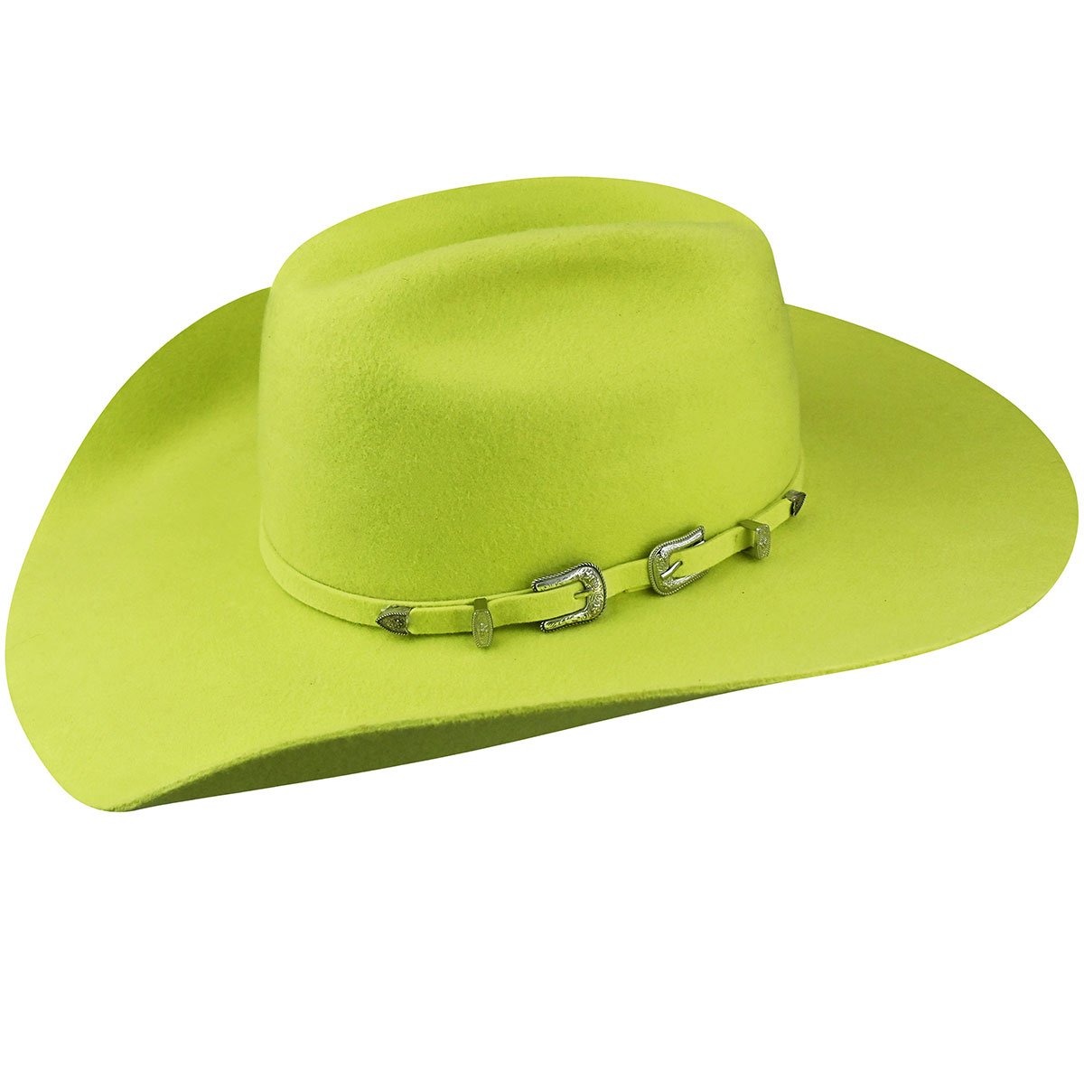 Bailey Western Renegade Punchy