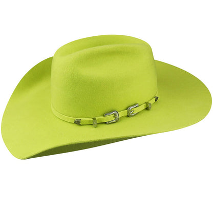 Bailey Western Renegade Punchy