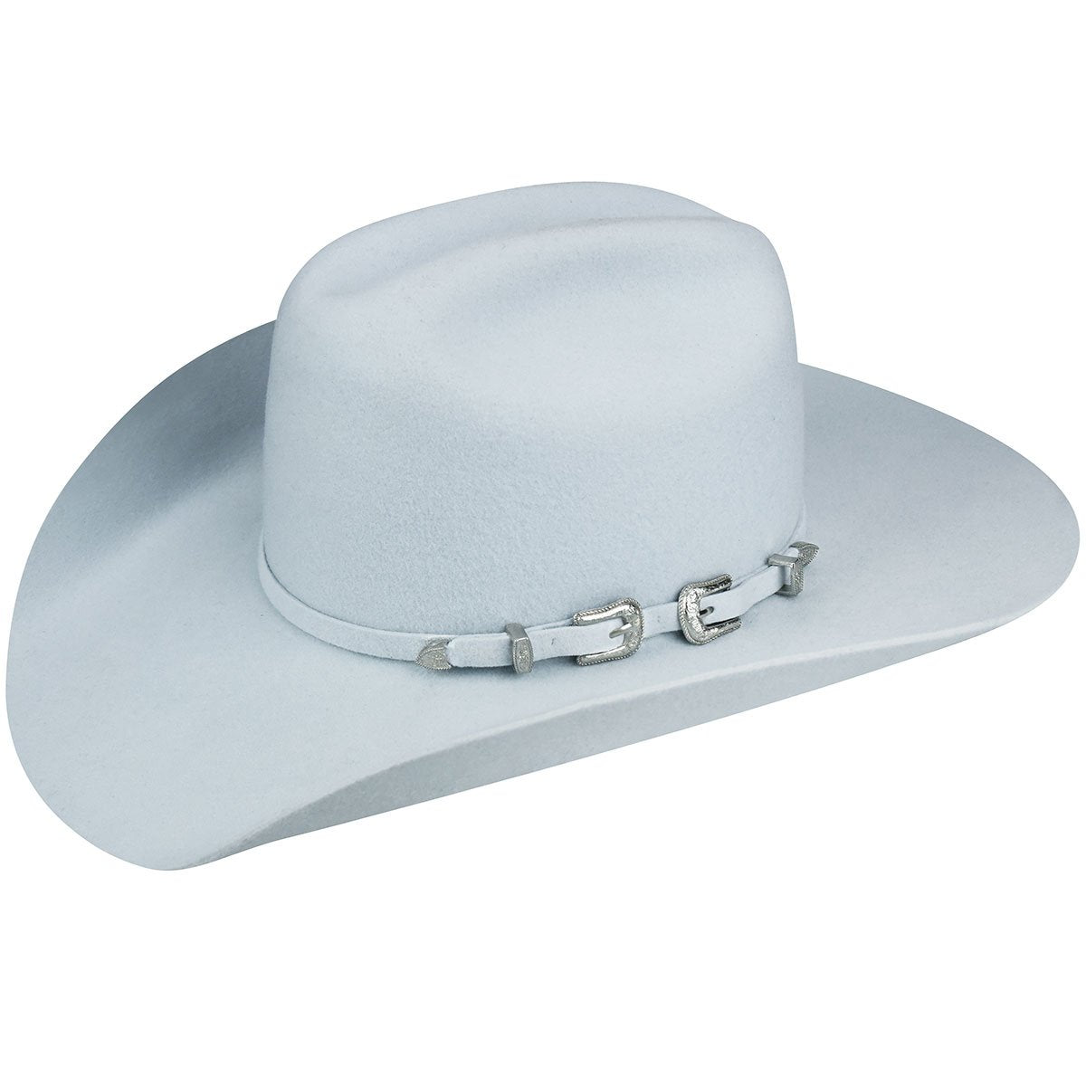 Bailey Western Renegade Punchy
