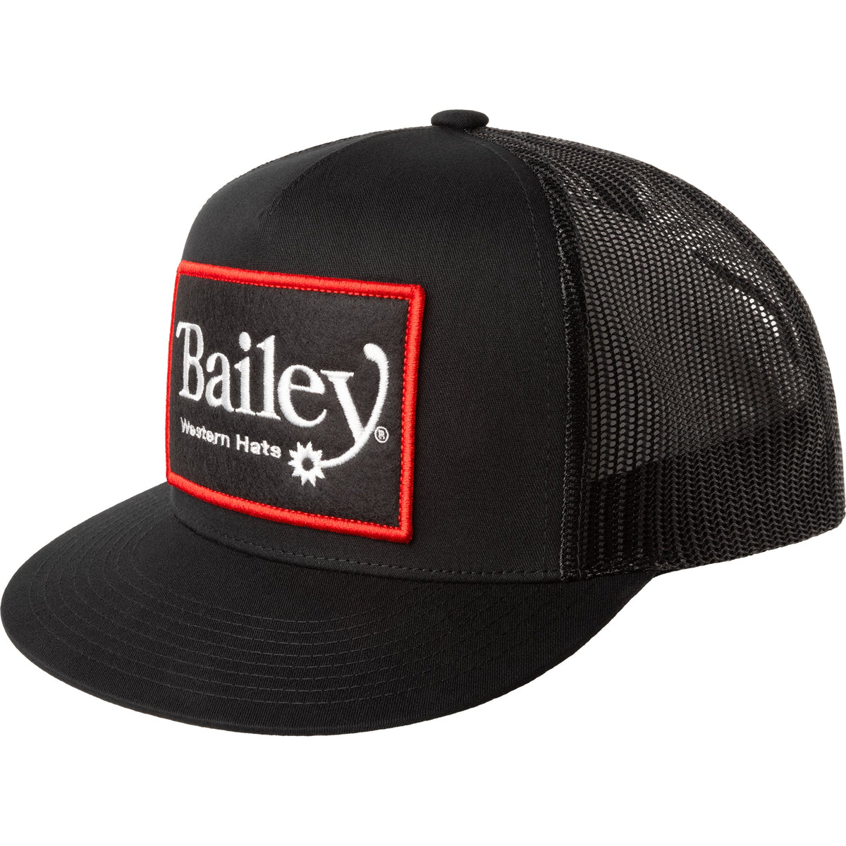 Bailey Western Night Rider